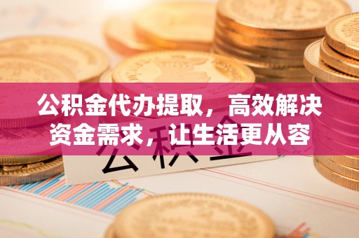 澜沧公积金代办提取，高效解决资金需求，让生活更从容