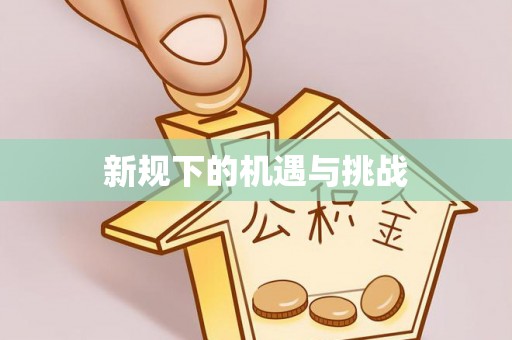 澜沧新规下的机遇与挑战