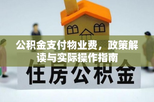 澜沧公积金支付物业费，政策解读与实际操作指南