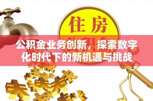 澜沧公积金业务创新，探索数字化时代下的新机遇与挑战