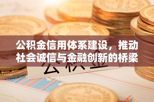 澜沧公积金信用体系建设，推动社会诚信与金融创新的桥梁