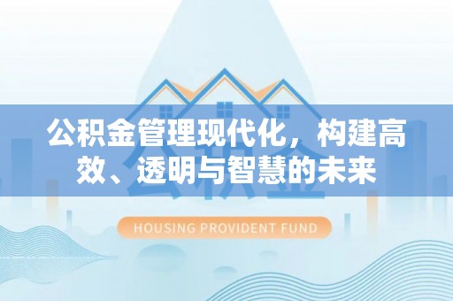 澜沧公积金管理现代化，构建高效、透明与智慧的未来