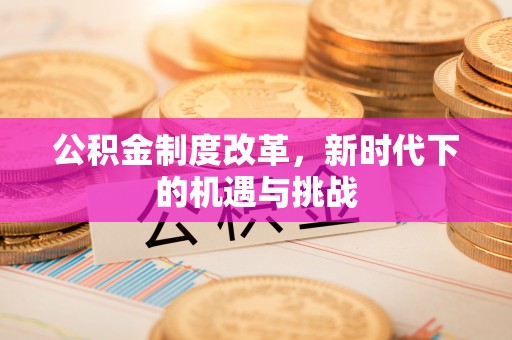 澜沧公积金制度改革，新时代下的机遇与挑战