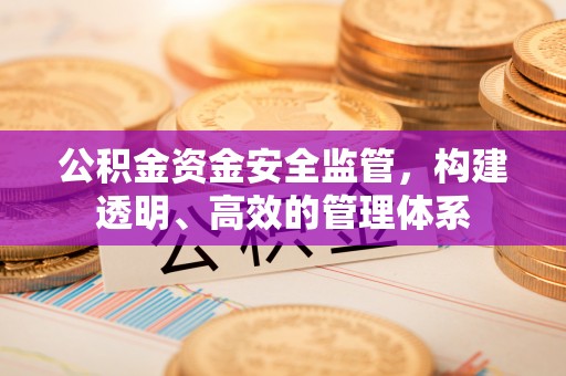 澜沧公积金资金安全监管，构建透明、高效的管理体系