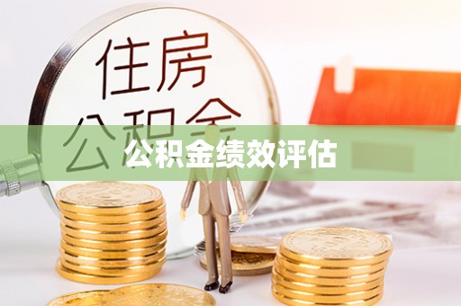 澜沧公积金绩效评估