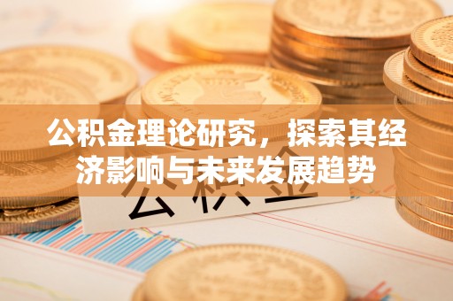 澜沧公积金理论研究，探索其经济影响与未来发展趋势
