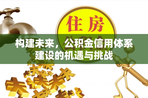 澜沧构建未来，公积金信用体系建设的机遇与挑战