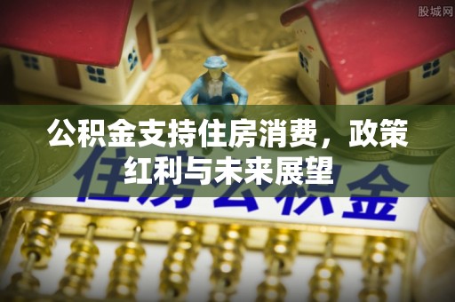 澜沧公积金支持住房消费，政策红利与未来展望