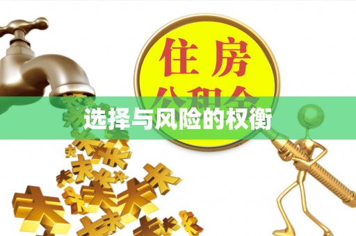 澜沧选择与风险的权衡