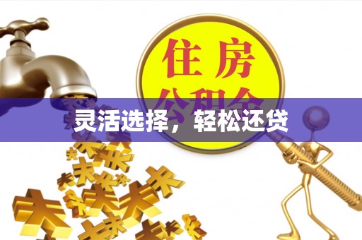 澜沧灵活选择，轻松还贷
