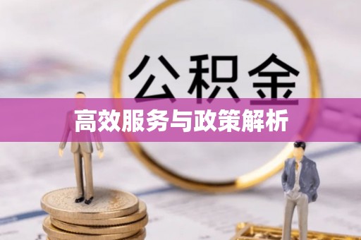 澜沧高效服务与政策解析