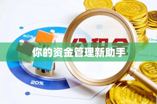 澜沧你的资金管理新助手