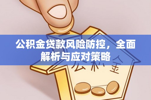 澜沧公积金贷款风险防控，全面解析与应对策略