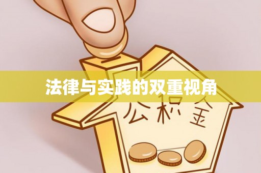 澜沧法律与实践的双重视角