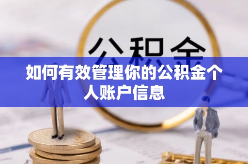 澜沧如何有效管理你的公积金个人账户信息
