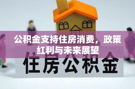 澜沧公积金支持住房消费，政策红利与未来展望