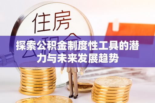 澜沧探索公积金制度性工具的潜力与未来发展趋势