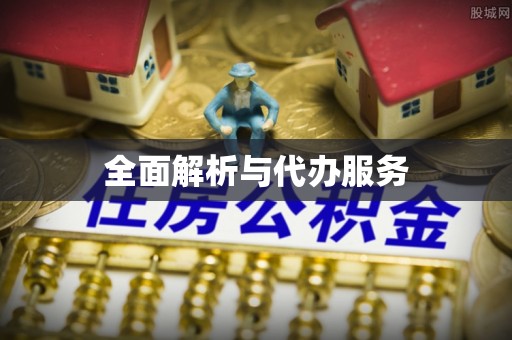 澜沧全面解析与代办服务