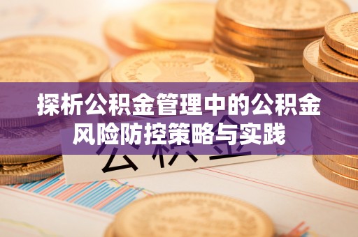 澜沧探析公积金管理中的公积金风险防控策略与实践