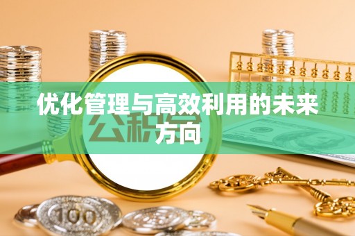 澜沧优化管理与高效利用的未来方向