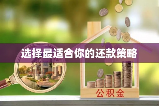 澜沧选择最适合你的还款策略